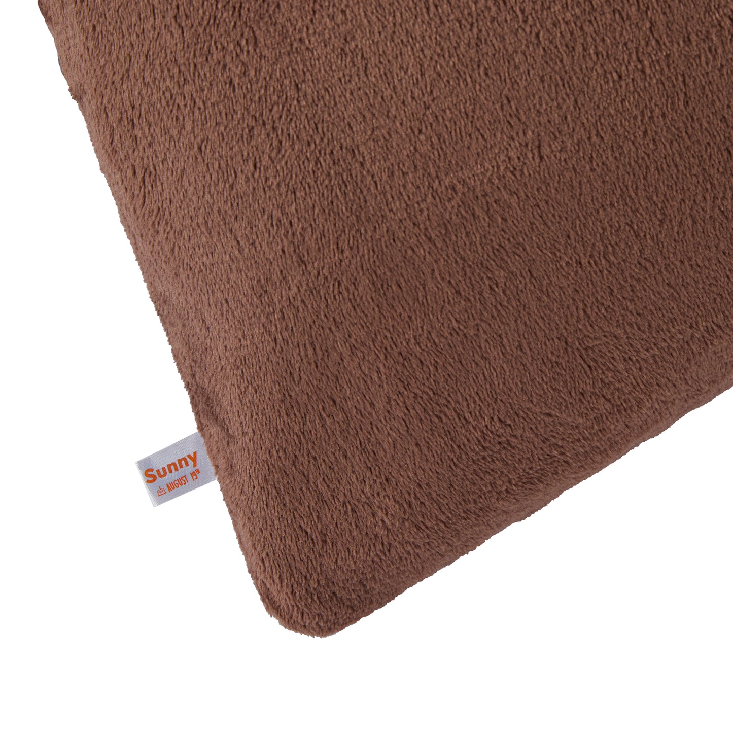 Sunny The Bear; Sunny The Bear pillow case