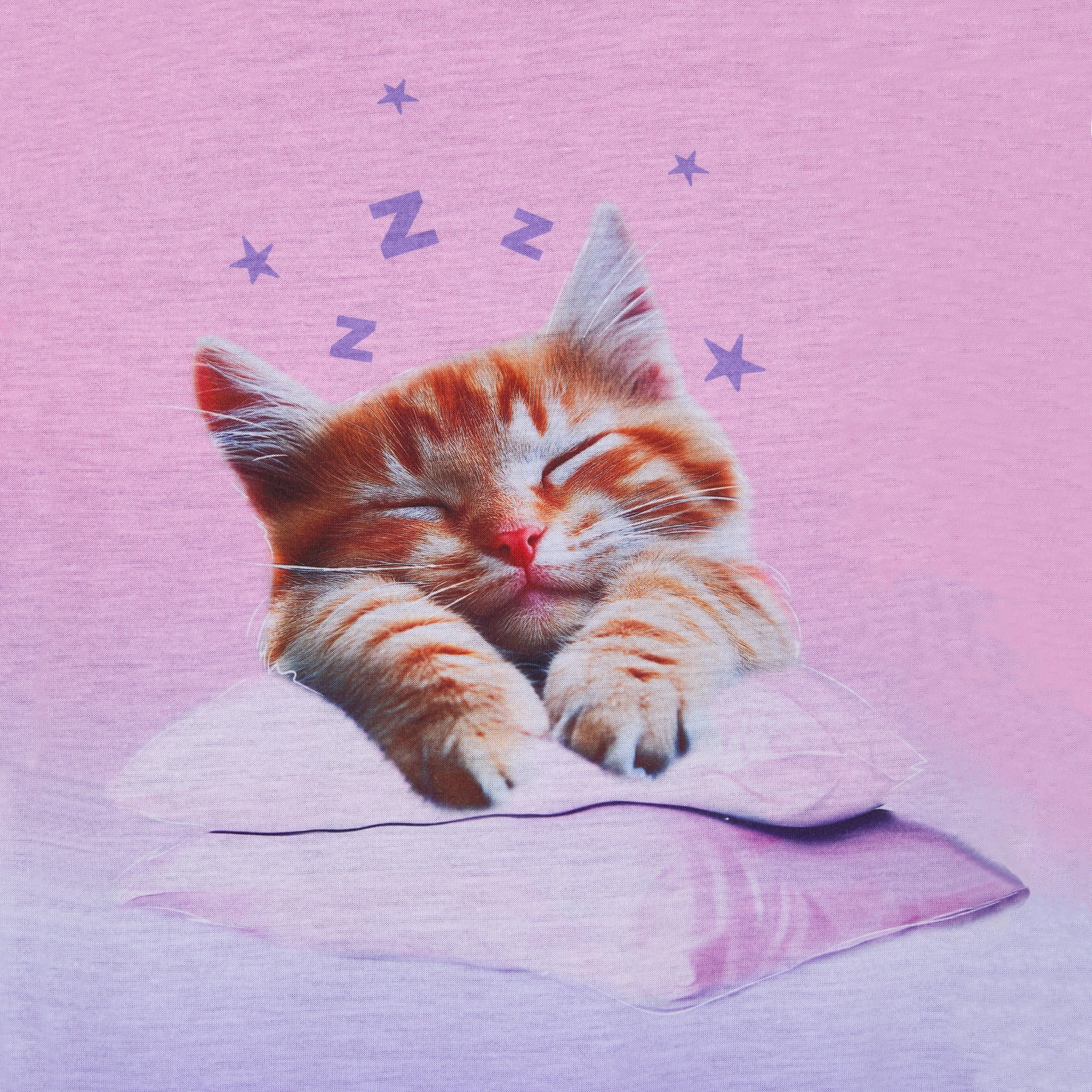 Snuggle Bug;@Cat print
