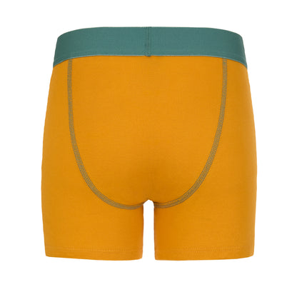 Zoom + Vroom Pack;@A Boys Cotton Boxer Brief Underwear 6-Pack in Zoom + Vroom Pack
