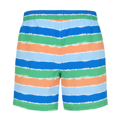 Ride the Wild Stripe;@A Men's Swim Trunk in Ride the Wild Stripe
